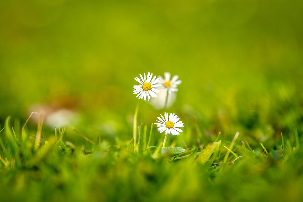 Our take on sustainability
